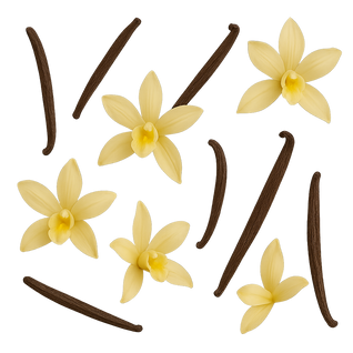 6 Organic Tallow Cream